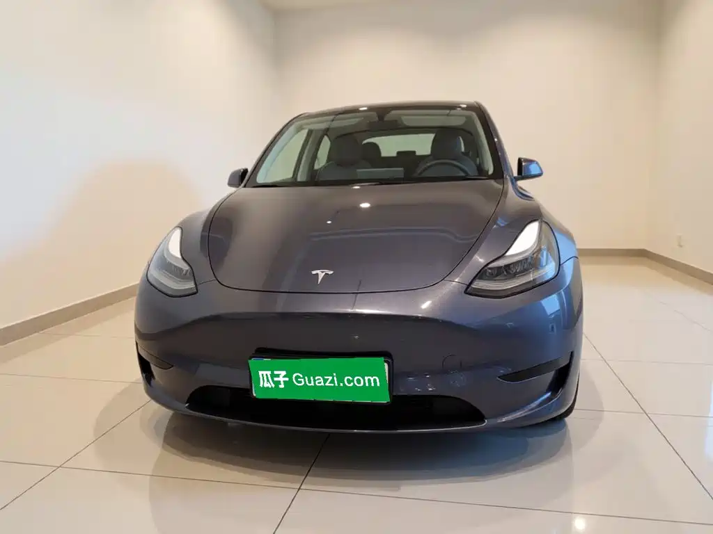 Tesla Model Y — миниатюра 2