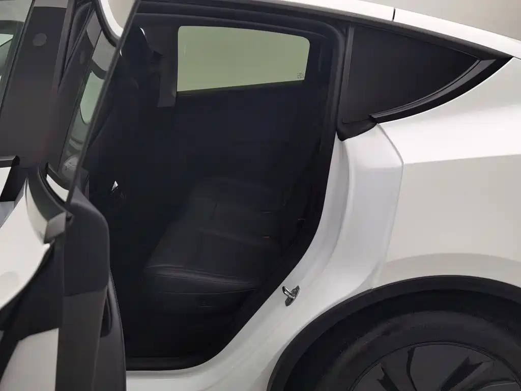 Tesla Model Y — миниатюра 15