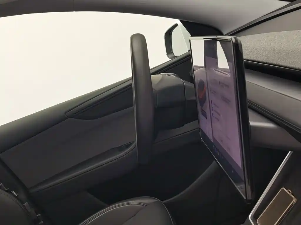 Tesla Model Y — миниатюра 22