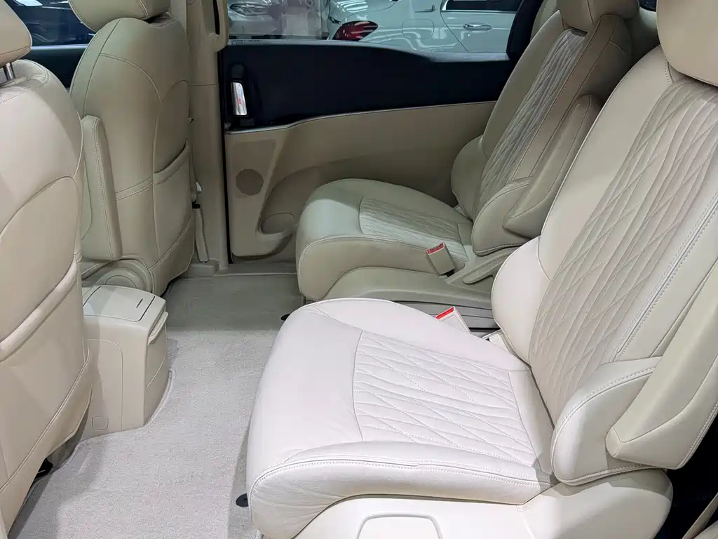 Buick GL8 — миниатюра 14