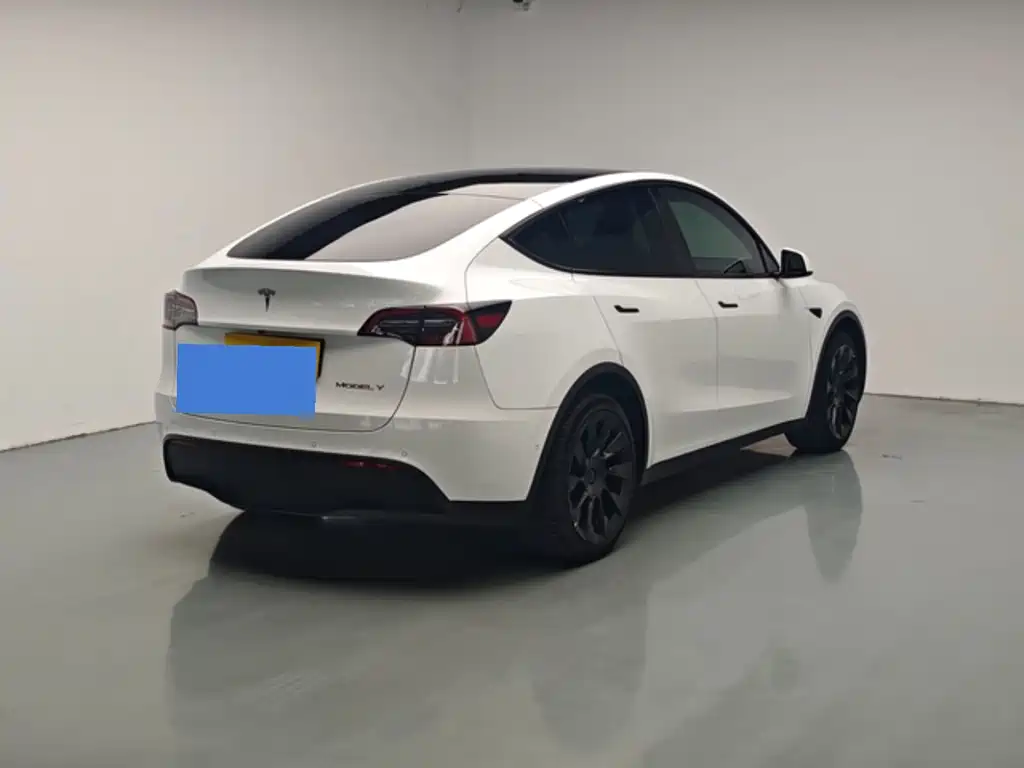 Tesla Model Y — миниатюра 15