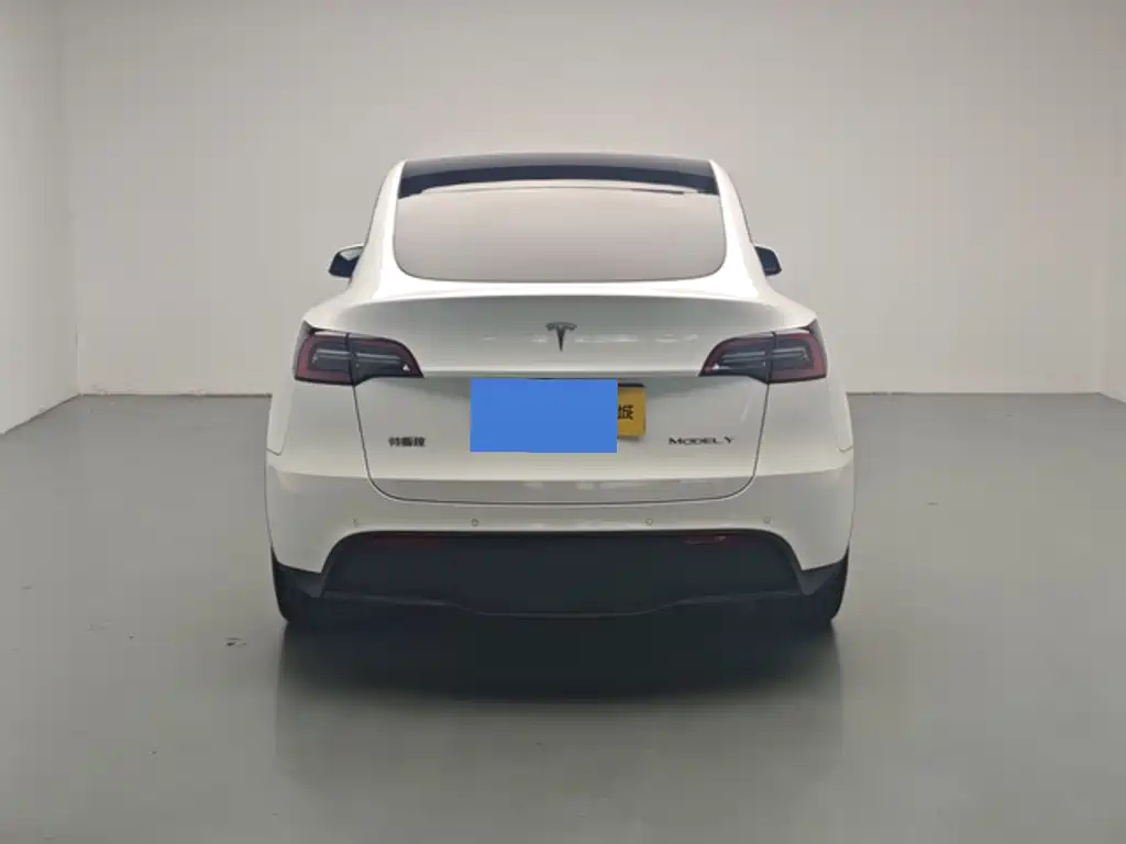 Tesla Model Y — миниатюра 12