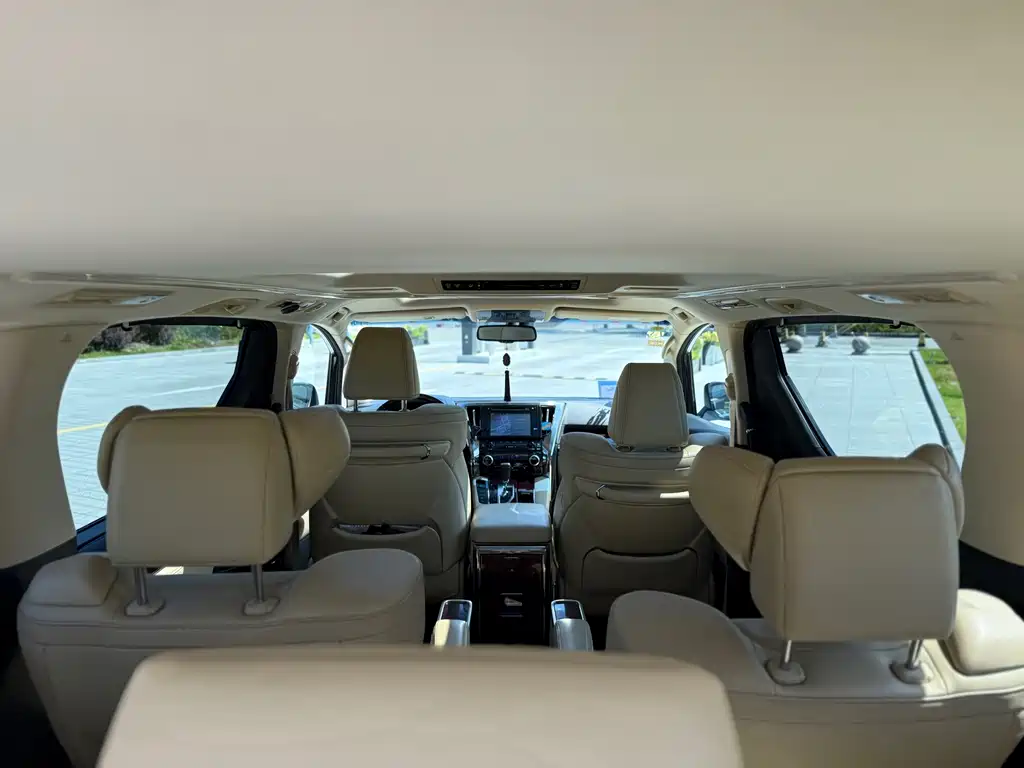Toyota Alphard — миниатюра 19