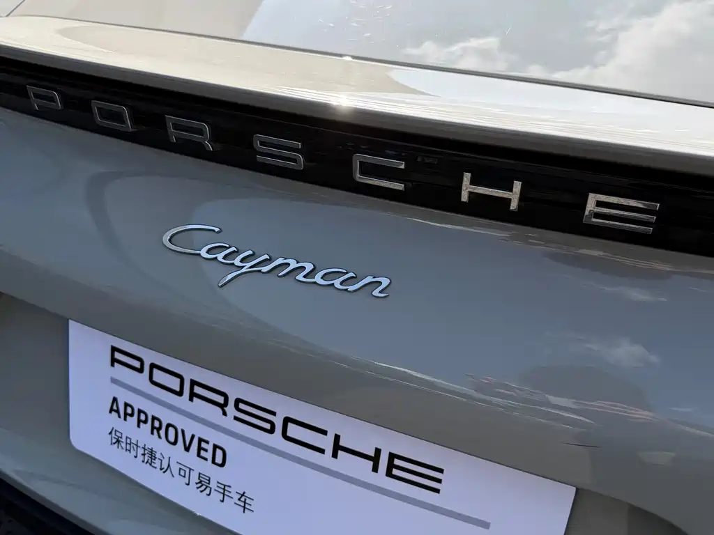 Porsche 718 — миниатюра 10