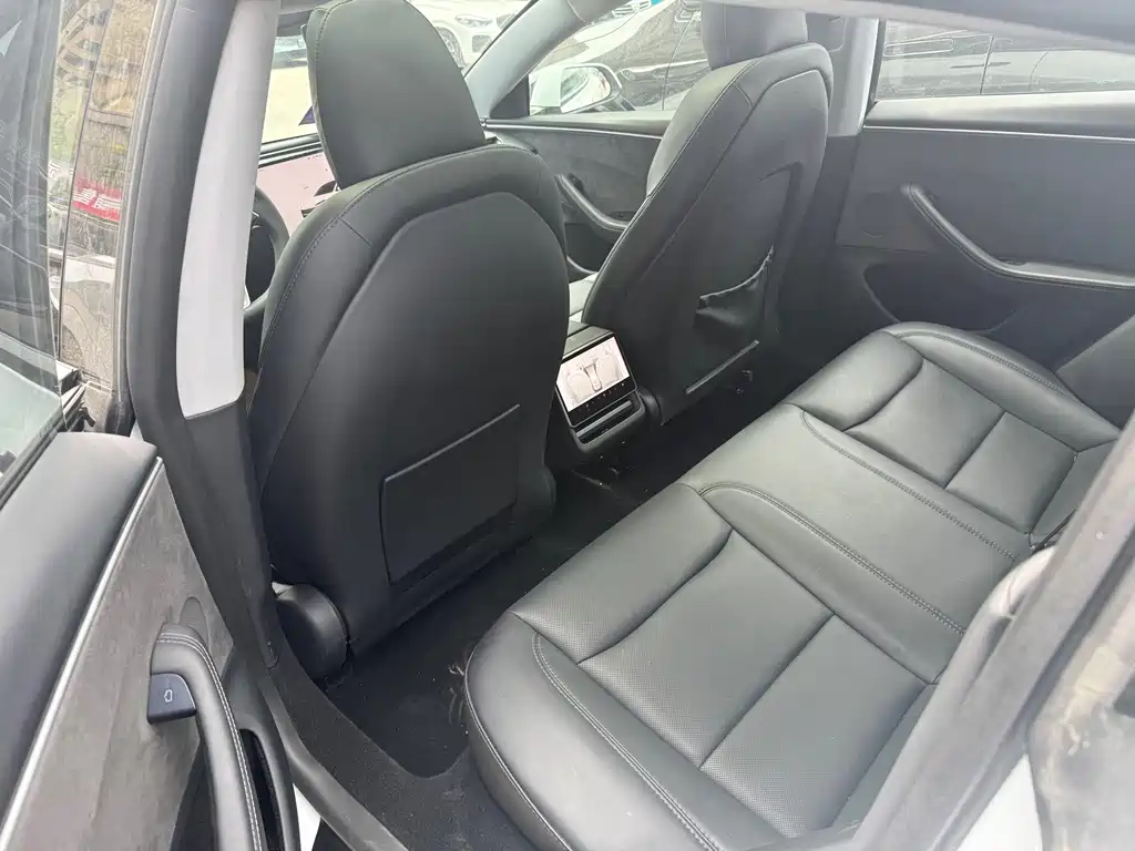Tesla Model 3 — миниатюра 6