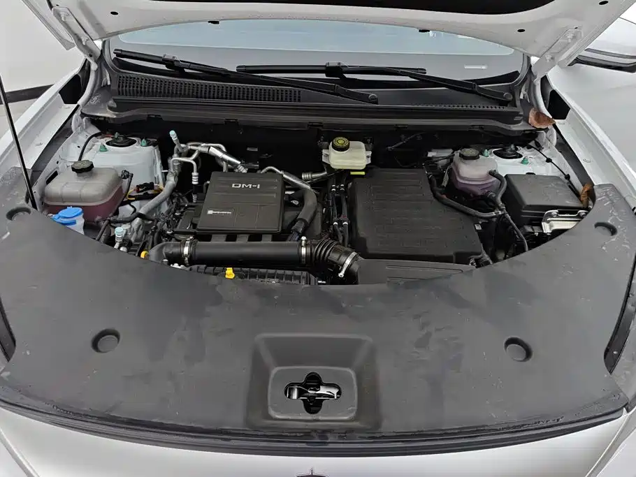 BYD Pro New Energy — миниатюра 10