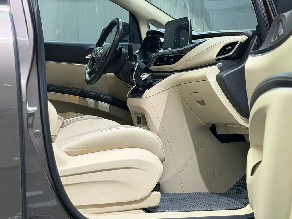 Buick GL8 — миниатюра 17