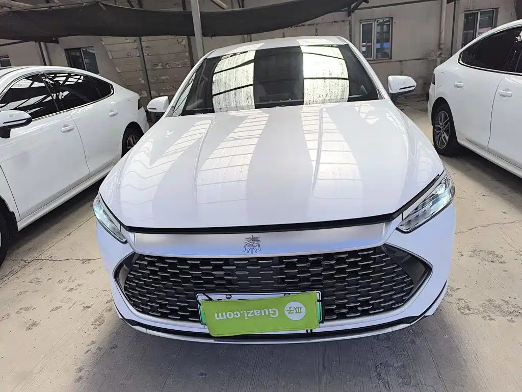BYD Qin Plus PLUS 2024 DM-i 55KM Lead