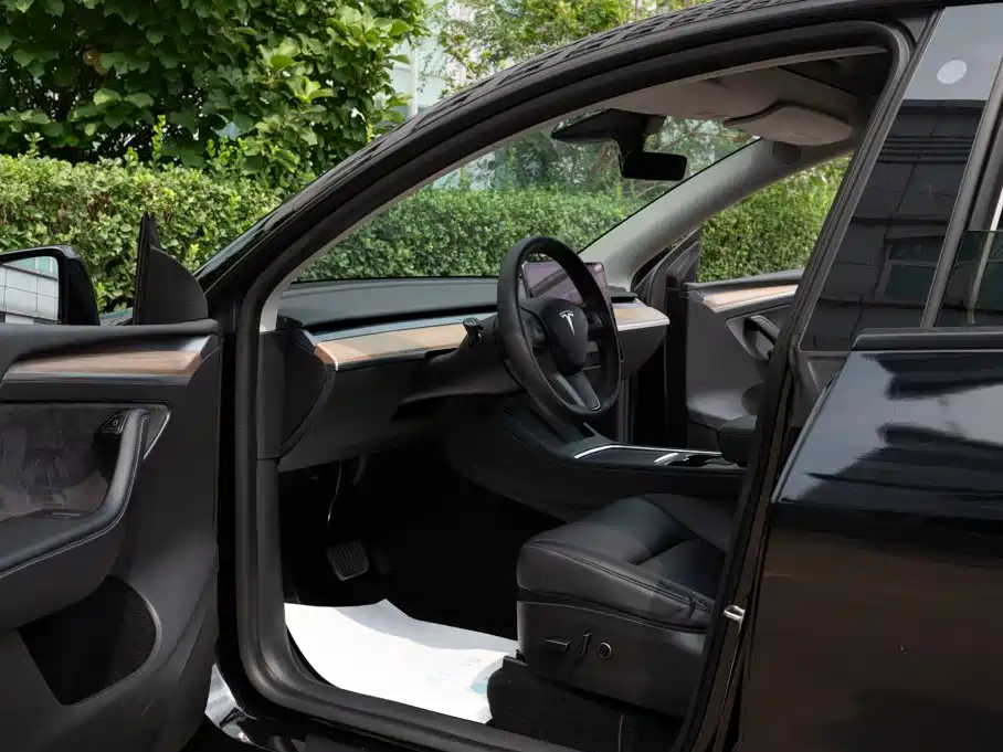Tesla Model Y — миниатюра 8