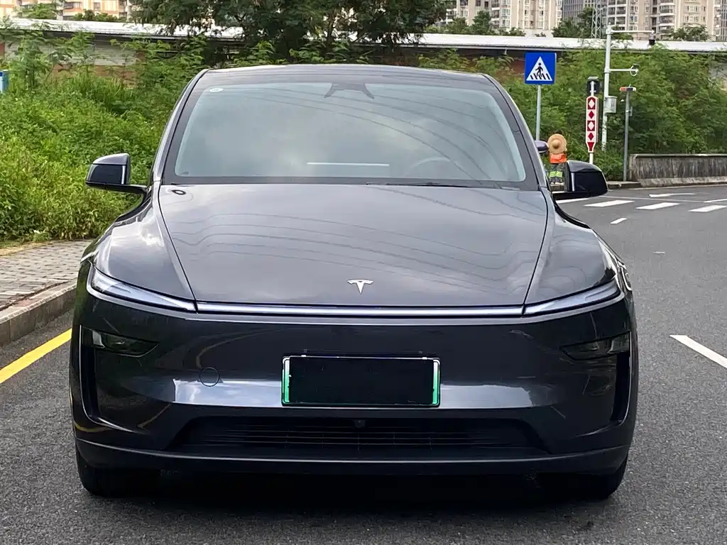 Tesla Model Y — миниатюра 2