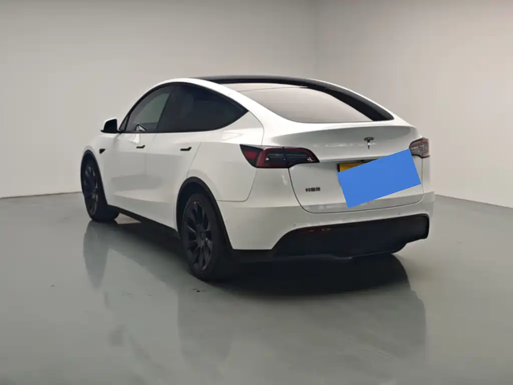 Tesla Model Y — миниатюра 13