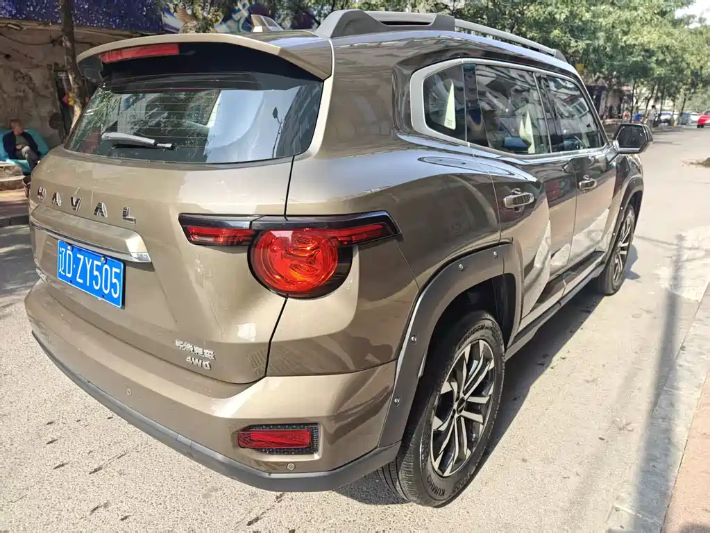  SECOND GENERATION BIG DOG