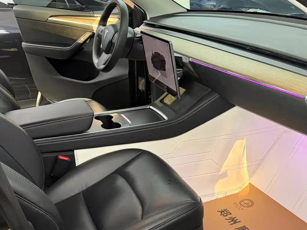 Tesla Model Y — миниатюра 9