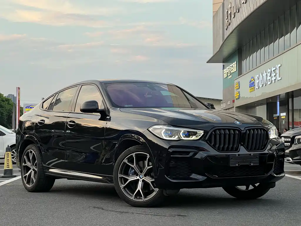 BMW X6 — миниатюра 4