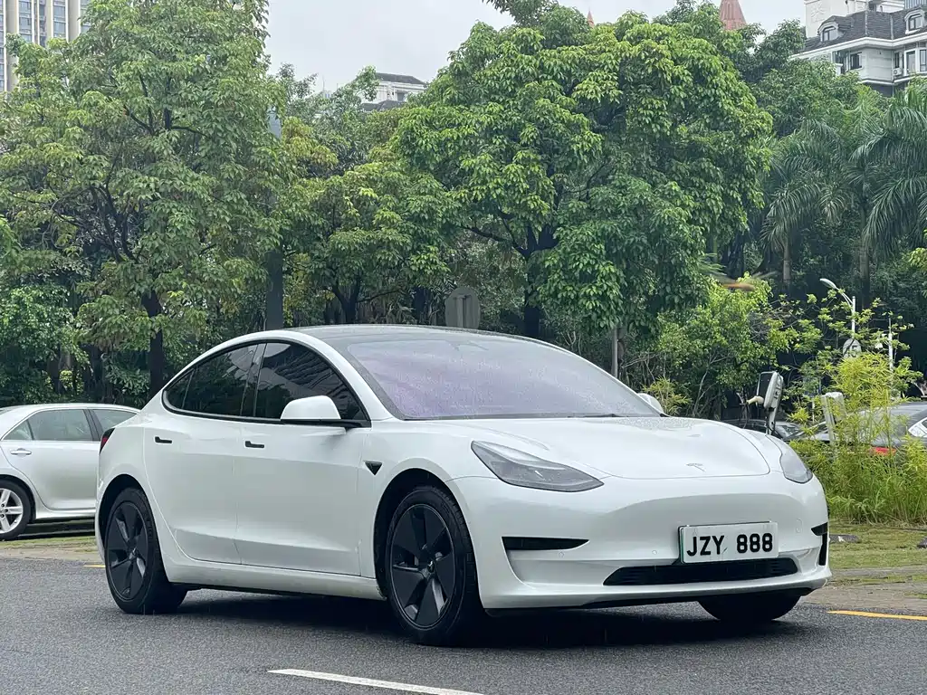 Tesla Model 3 — миниатюра 3
