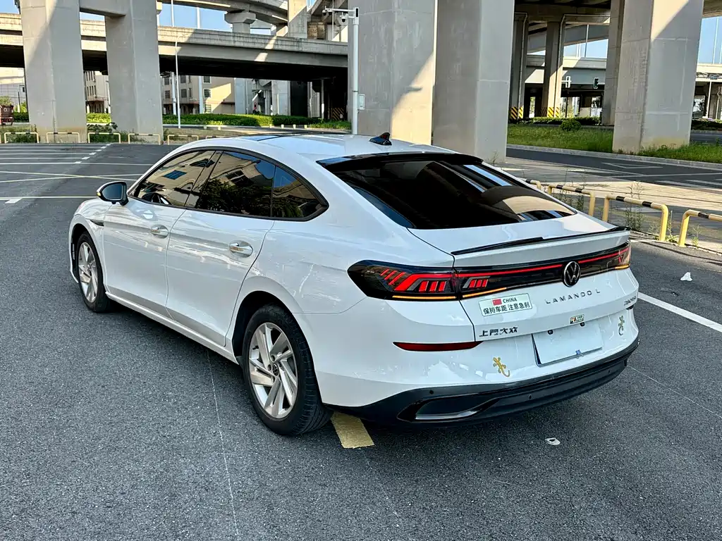 Volkswagen Lamando — миниатюра 5