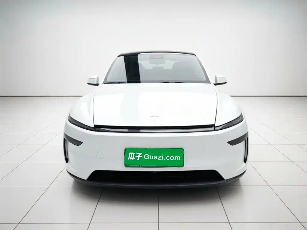 Tesla Model Y — миниатюра 2