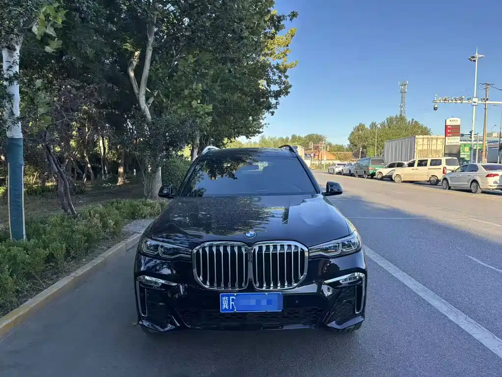 BMW X7 — миниатюра 2