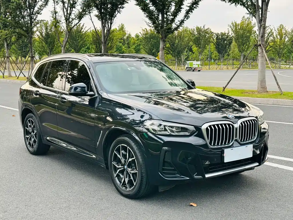BMW X3 — миниатюра 3