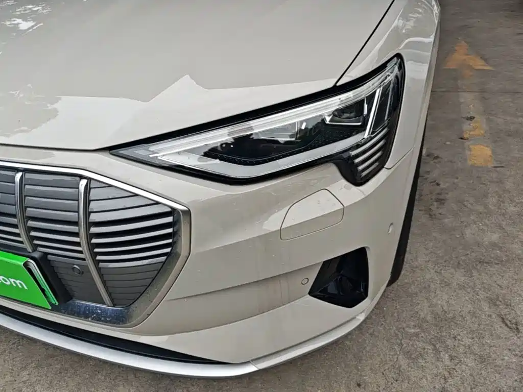 Audi e-tron (Import) — миниатюра 24