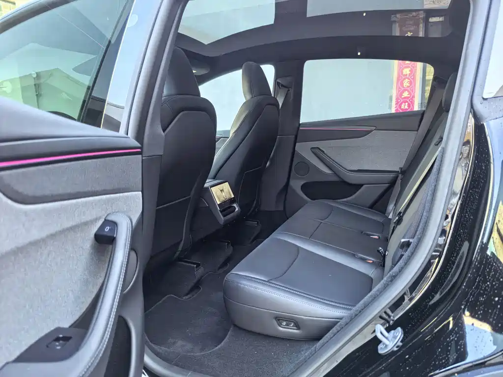 Tesla Model Y — миниатюра 10