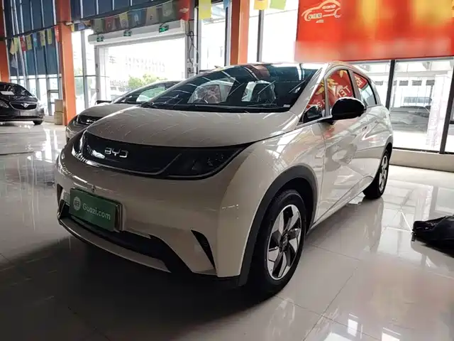 2026 BYD Dolphin
