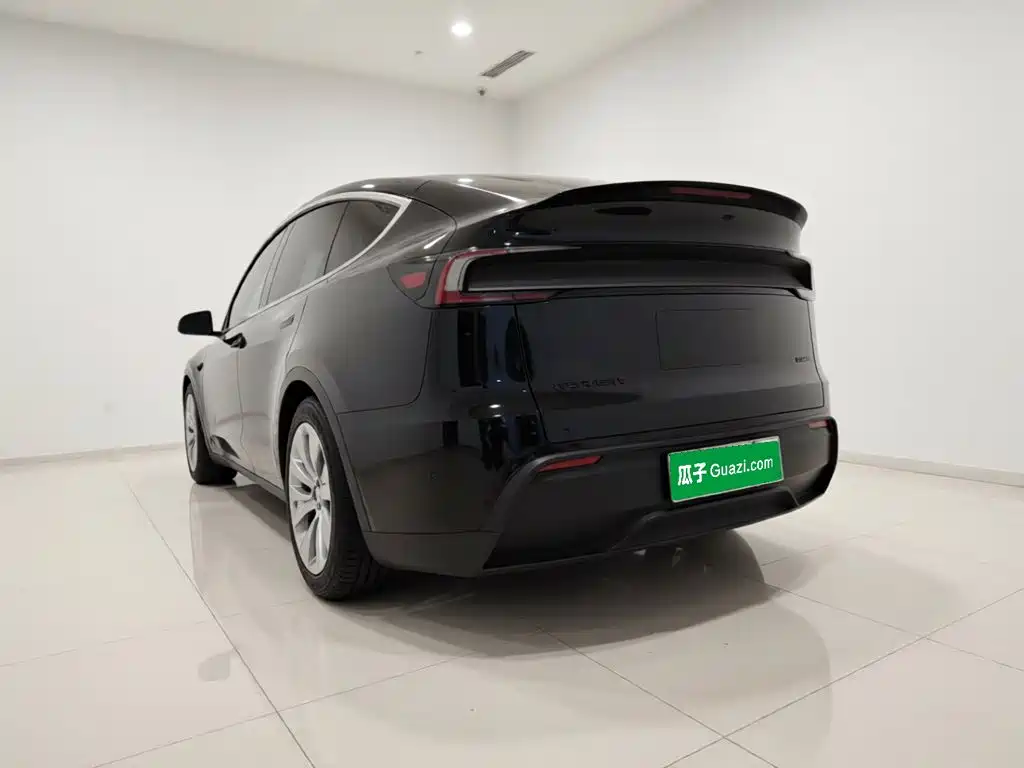 Tesla Model Y L — миниатюра 5