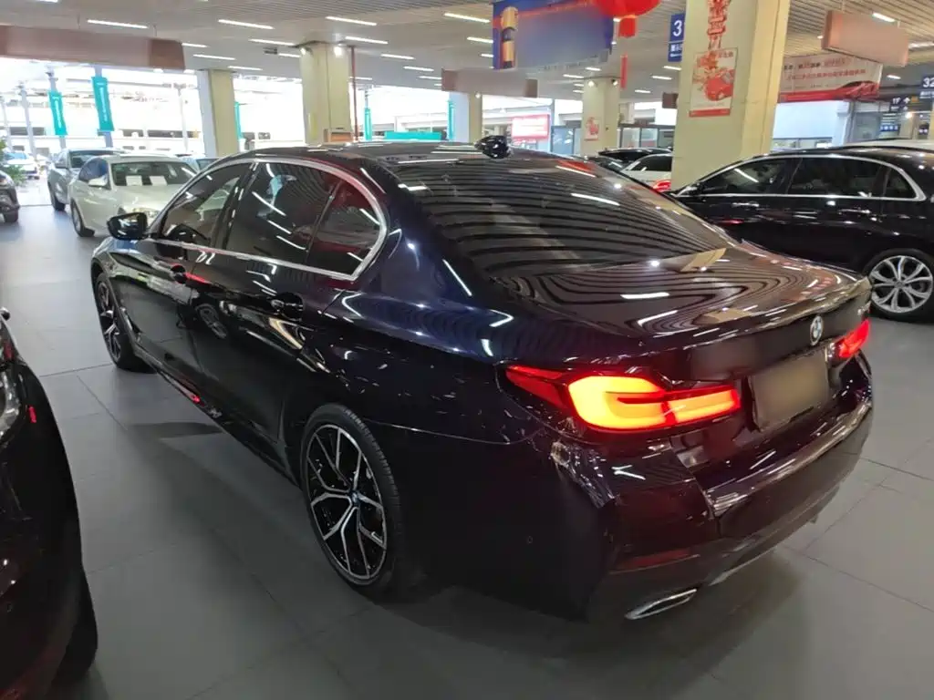 BMW 5 Series — миниатюра 5