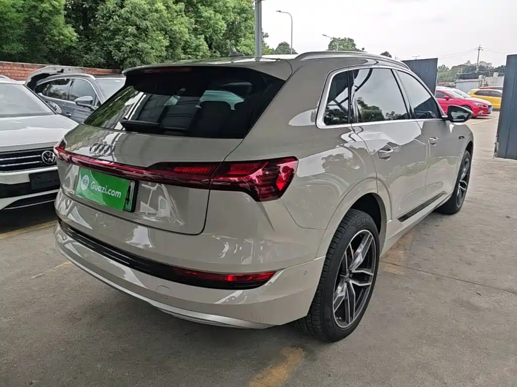 Audi e-tron (Import) — миниатюра 7