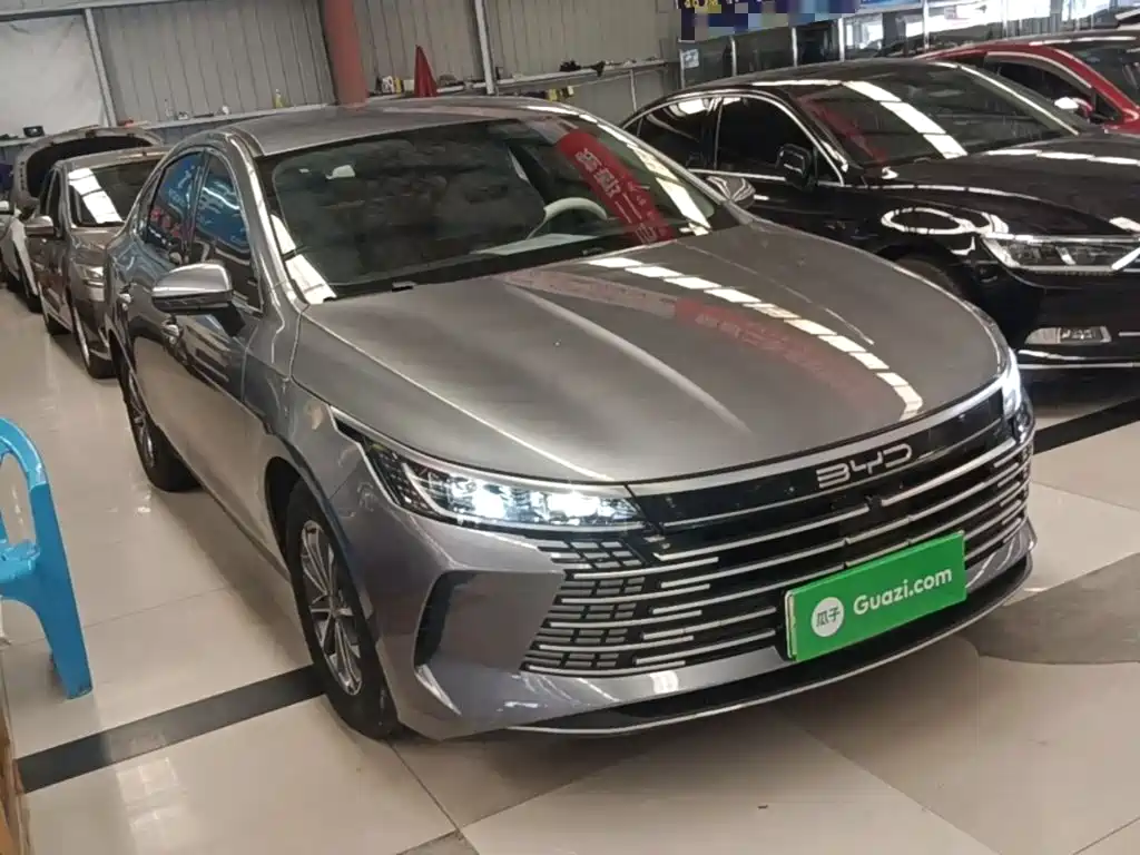 BYD Destroyer 05 2023 Champion DM-i 55KM Luxury