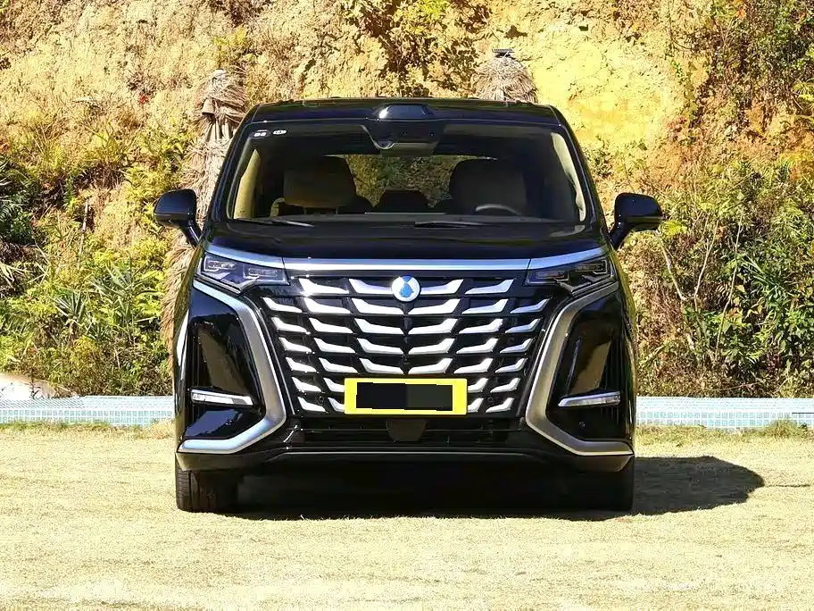 Denza Denza D9 — миниатюра 2