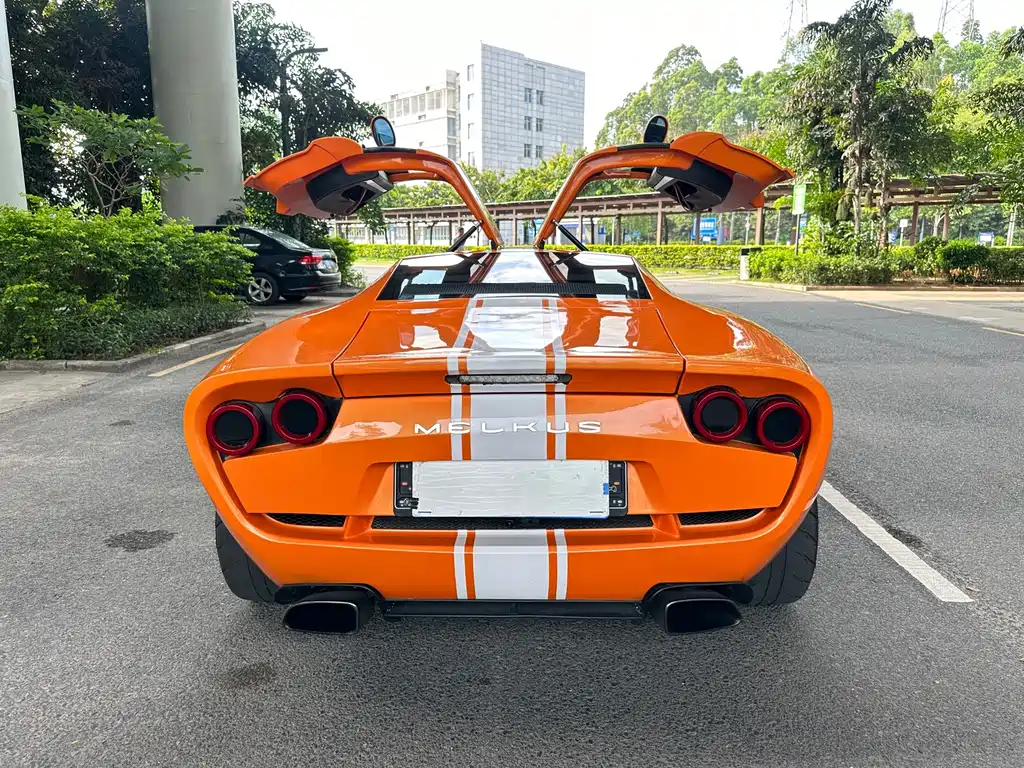 MELKUS MELKUS RS2000 — миниатюра 7