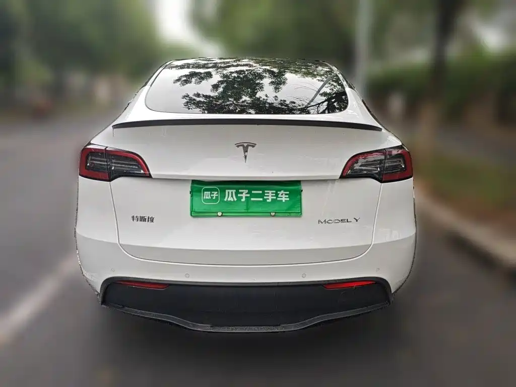 Tesla Model Y — миниатюра 3