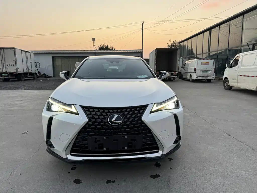 Lexus UX New Energy — миниатюра 2