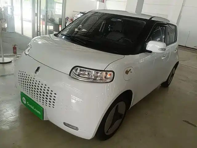 2021 Ora R2/White Cat