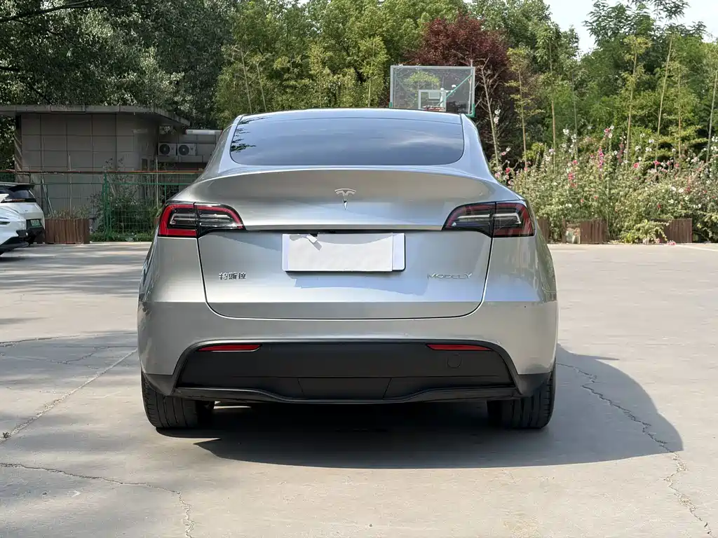 Tesla Model Y — миниатюра 7