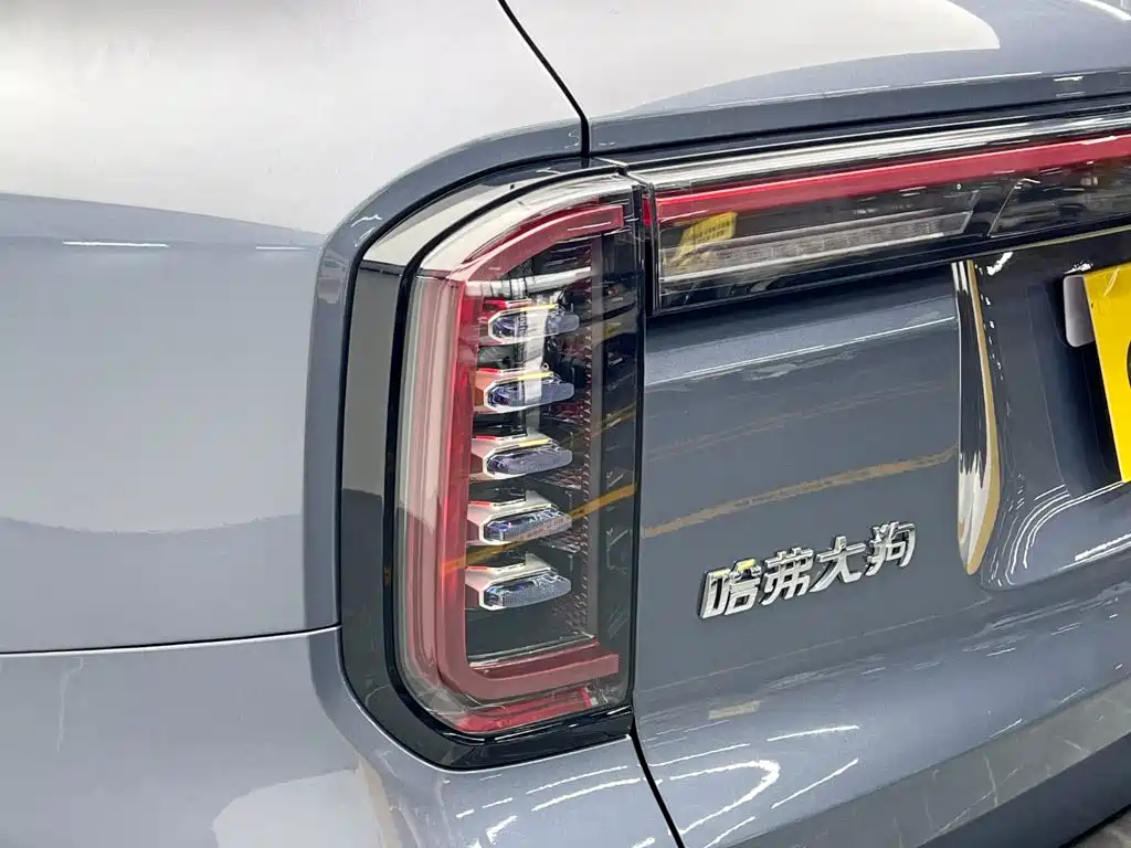 Haval 长城大狗 — миниатюра 11