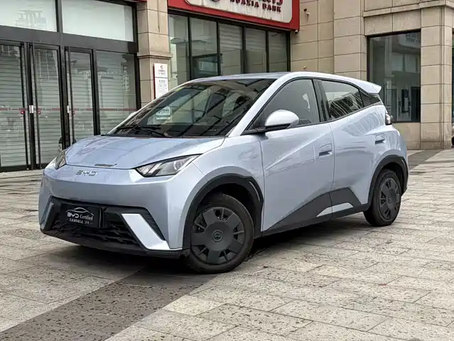 2024 BYD Seagull