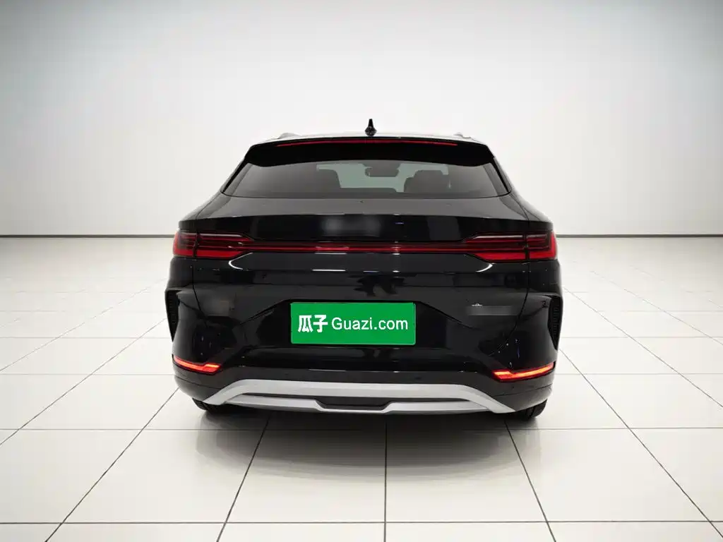 BYD PLUS New Energy — миниатюра 5