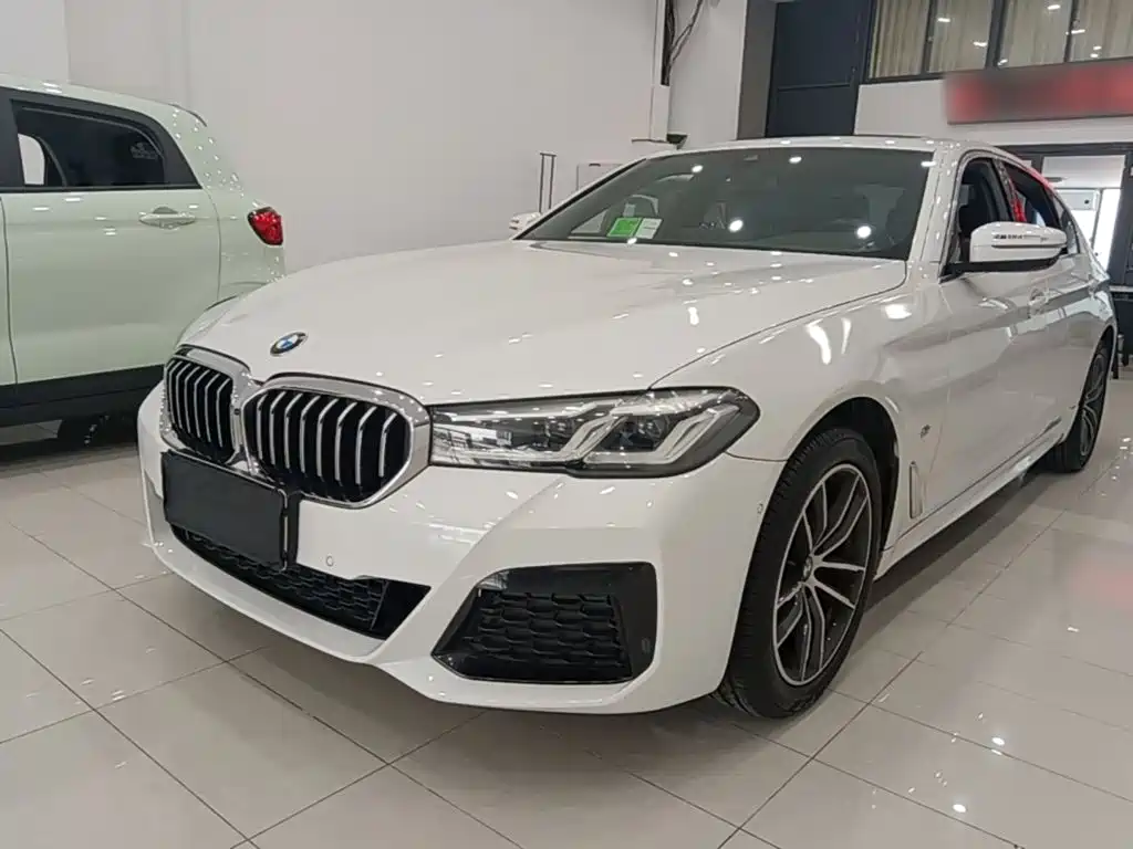 BMW 5 Series — миниатюра 2