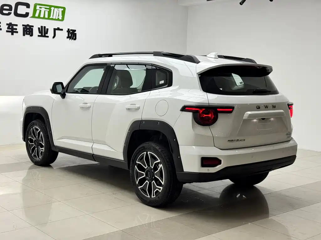 Haval Big Dog PLUS New Energy — миниатюра 18