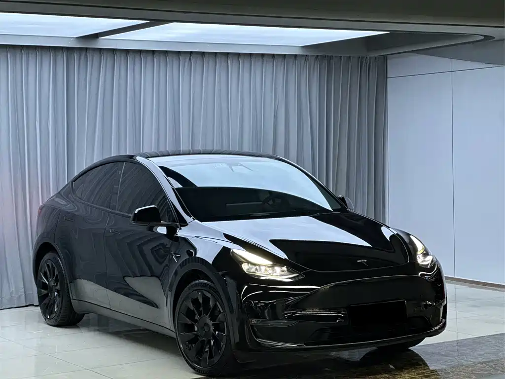 Tesla Model Y — миниатюра 3