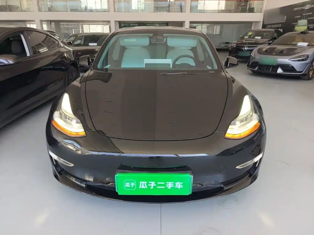 Tesla Model 3 — миниатюра 3