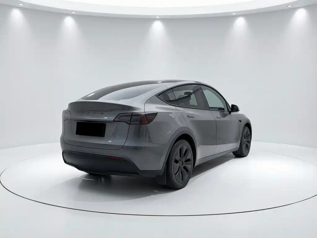 Tesla Model Y — миниатюра 2