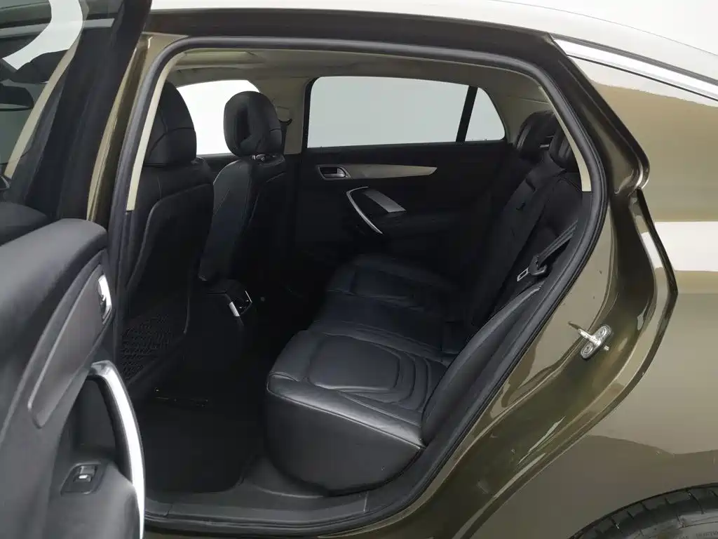 DS DS 5LS — миниатюра 15