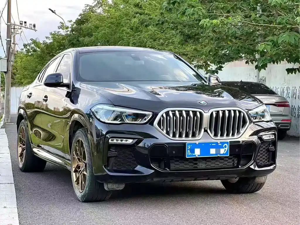 BMW X6 — миниатюра 3