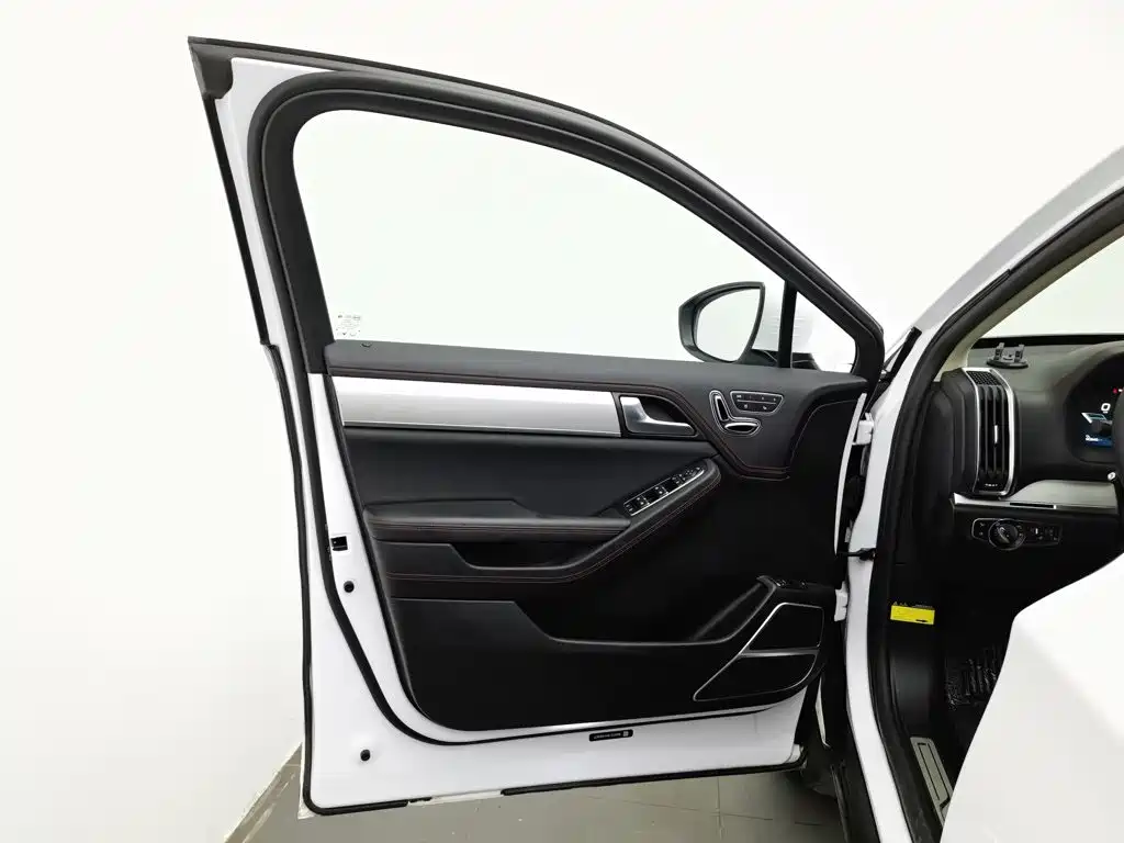 BYD Tang New Energy — миниатюра 8