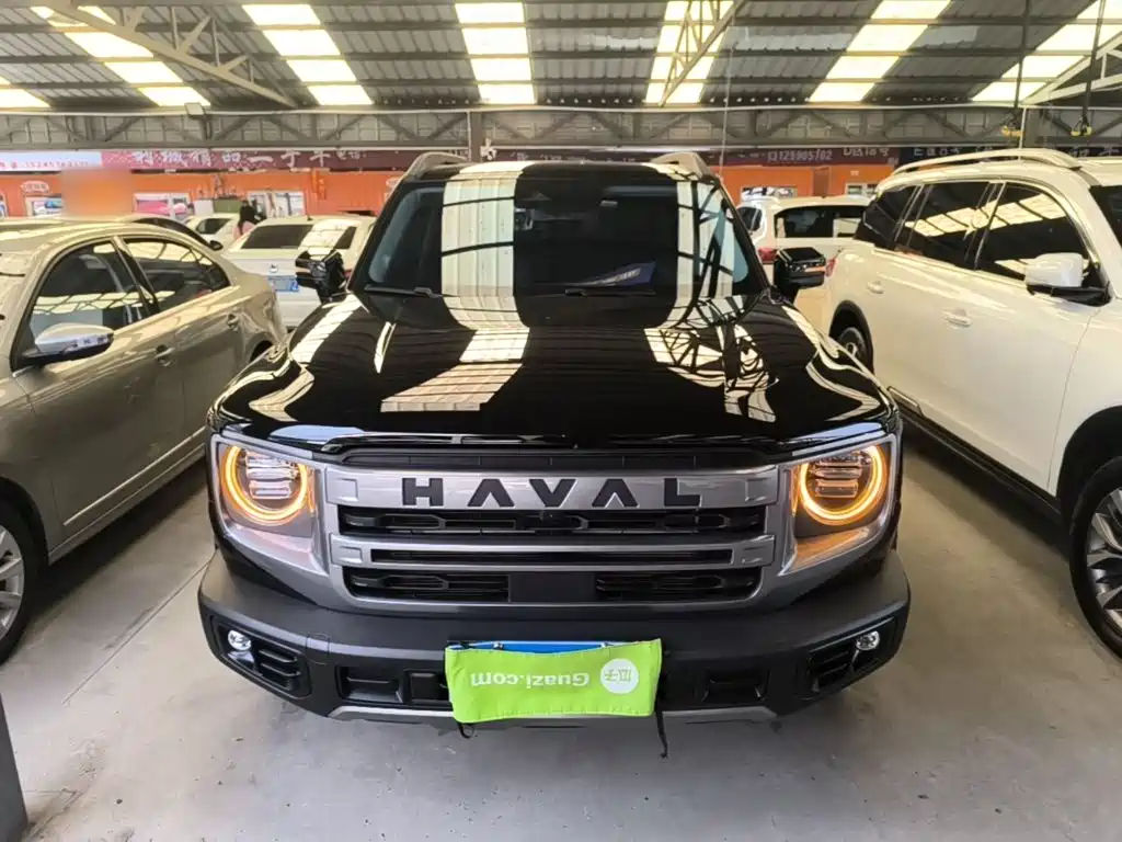Haval 长城大狗 — миниатюра 3