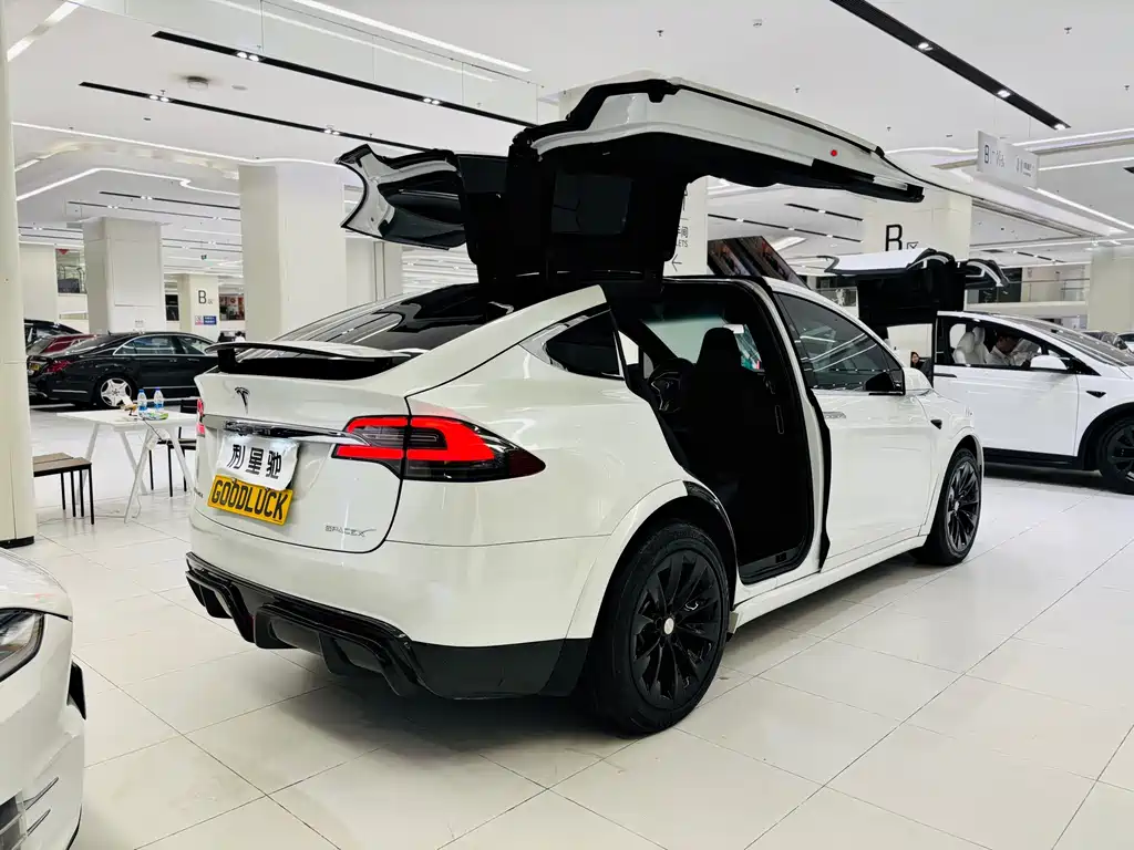 Tesla Model X — миниатюра 3
