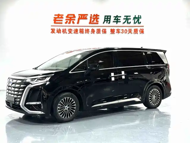 2023 Denza D9